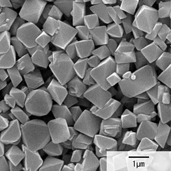 Scanning electron microscope photograph of magnesium hydroxide for flame retardants, ECOMAG®Z-10