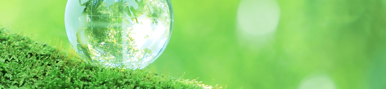 Image of green grass with a crystal globe.
