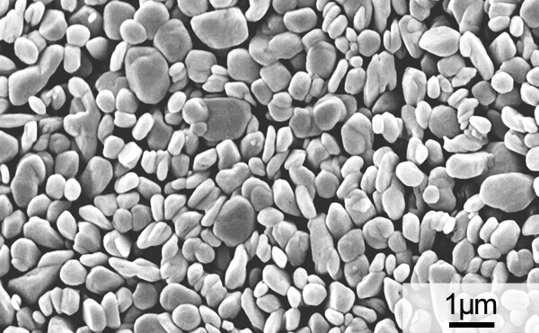 Scanning electron microscope photograph of high purity magnesium hydroxide, PUREMAG FNM-HS