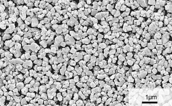 Scanning Electron Microscope photograph of high purity magnesium oxide, PUREMAG FNM-G (primary particle)